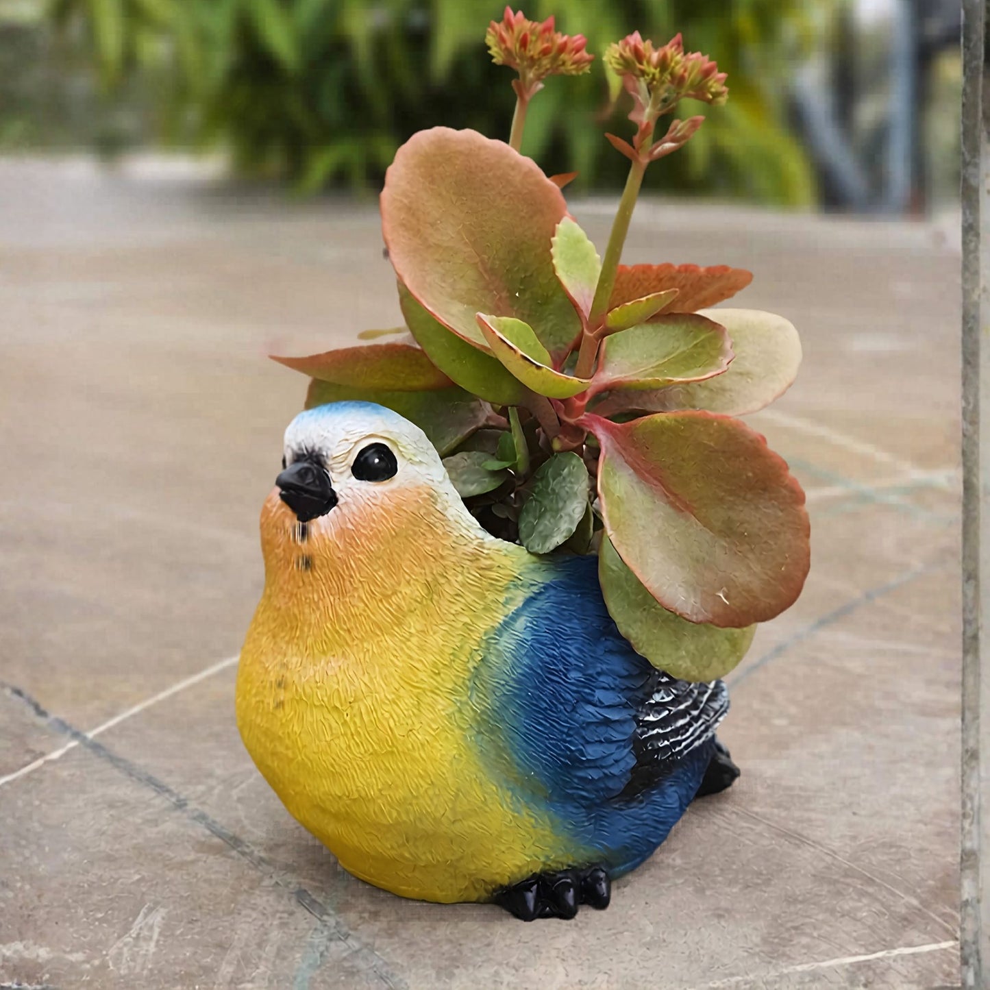 Premium colorful bird planter for office desk decor