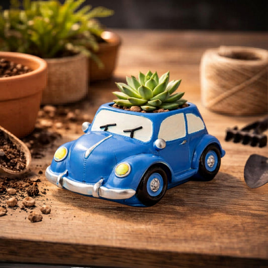 Indoor Succulent Pot in Car Design